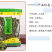 云南文山三七花田七花三年四年花新三七花地摊销售批发