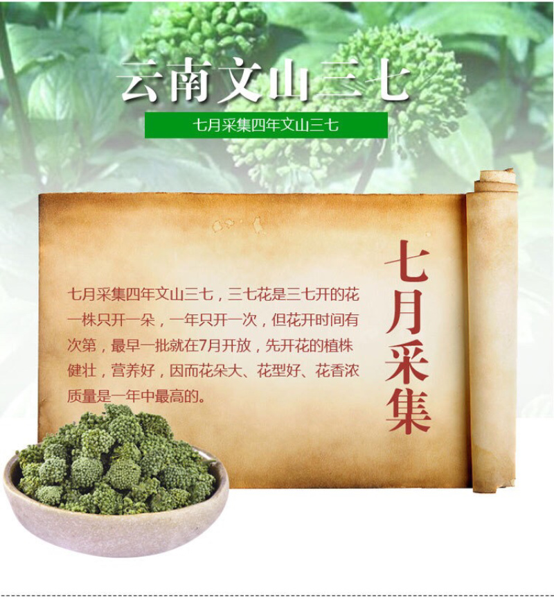 云南文山三七花田七花三年四年花新三七花地摊销售批发