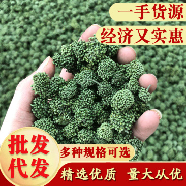 云南文山三七花田七花三年四年花新三七花地摊销售批发