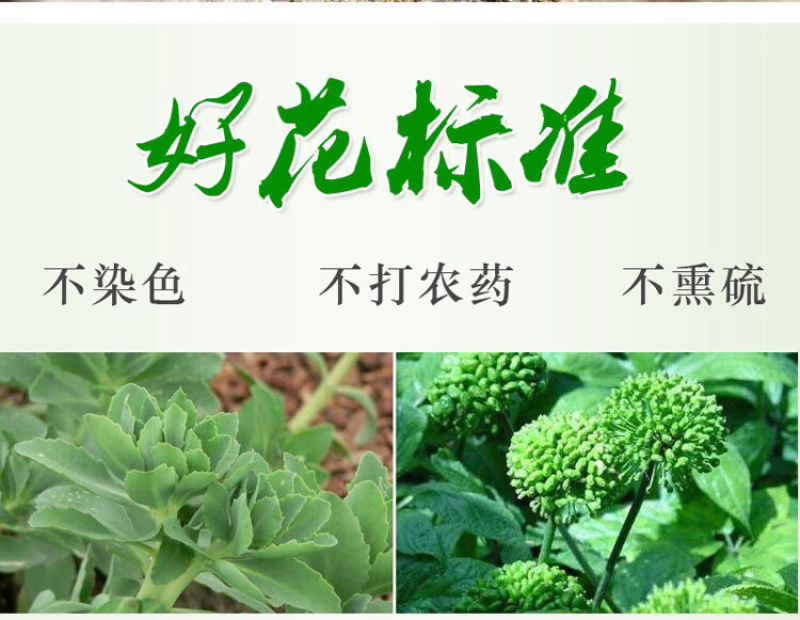 云南文山三七花田七花三年四年花新三七花地摊销售批发