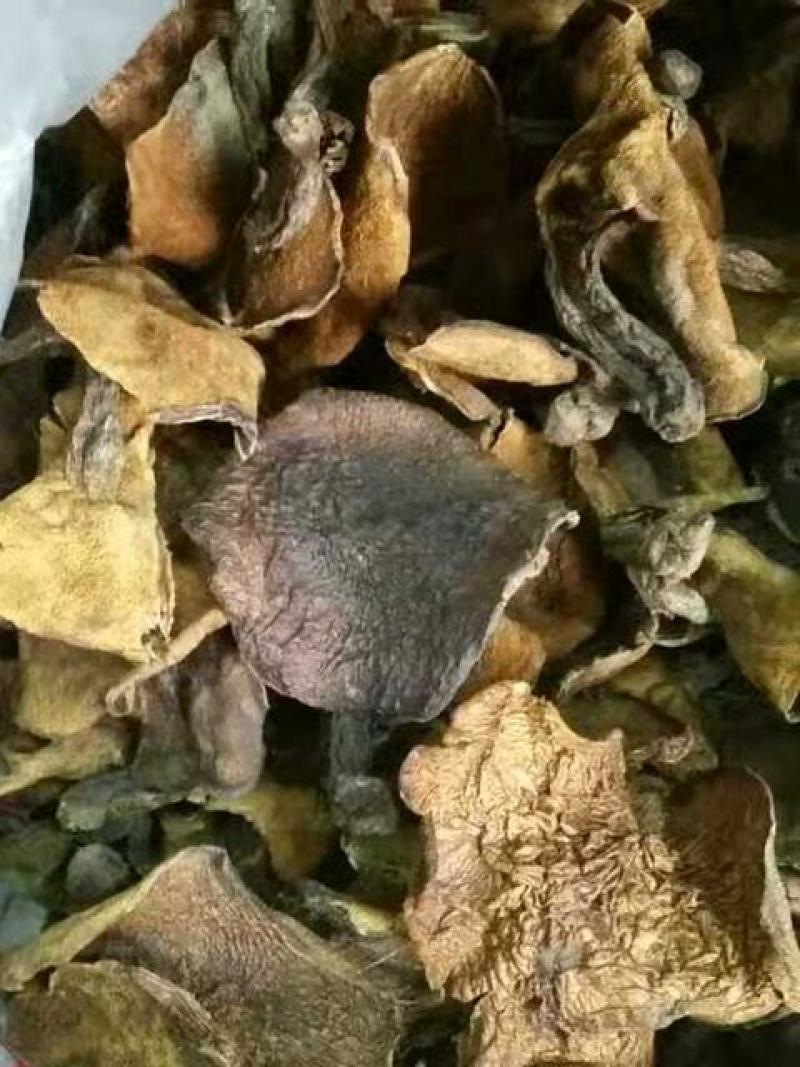 东北野生干松蘑品质品制