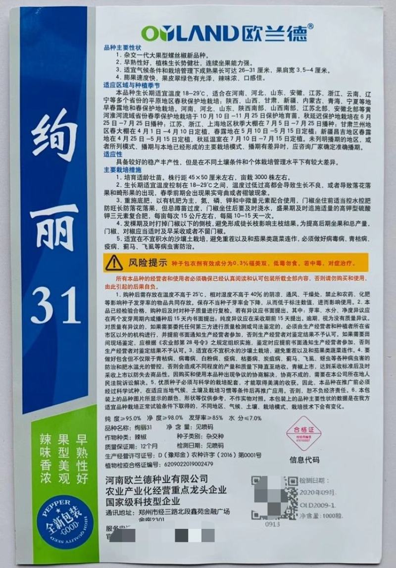 辣椒种子绚丽31螺丝椒种子早熟性好大果型辣味浓口感佳