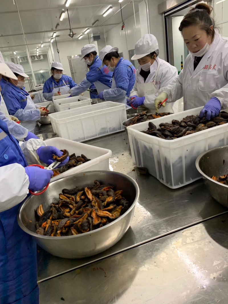 俄罗斯进口海茄子糙海参食用冰冻块冻原料