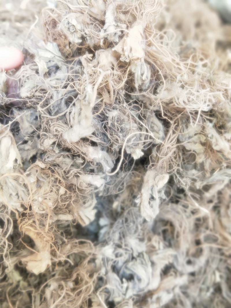 地胆头新货无硫磺产地直销市场批发量大优惠