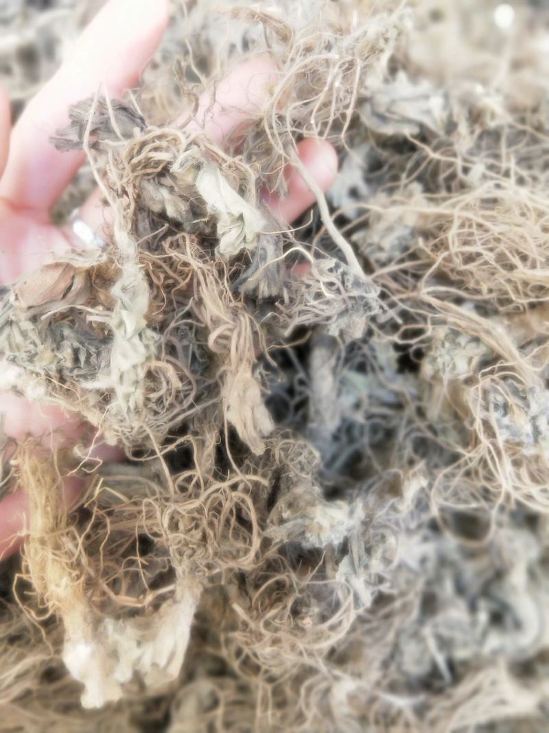 地胆头新货无硫磺产地直销市场批发量大优惠