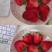 草莓苗红颜99甜宝章姬草莓苗成活率高根系发达