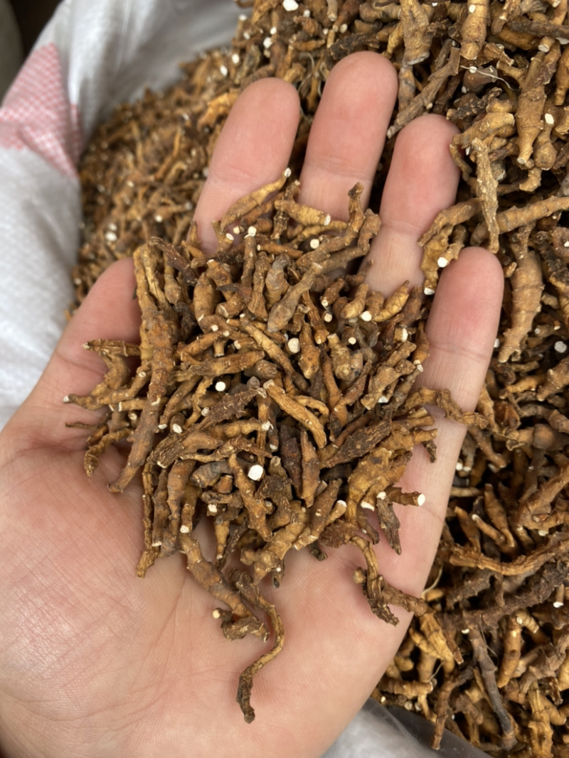 九节菖蒲野生九节菖蒲产地直销批发各种中药材