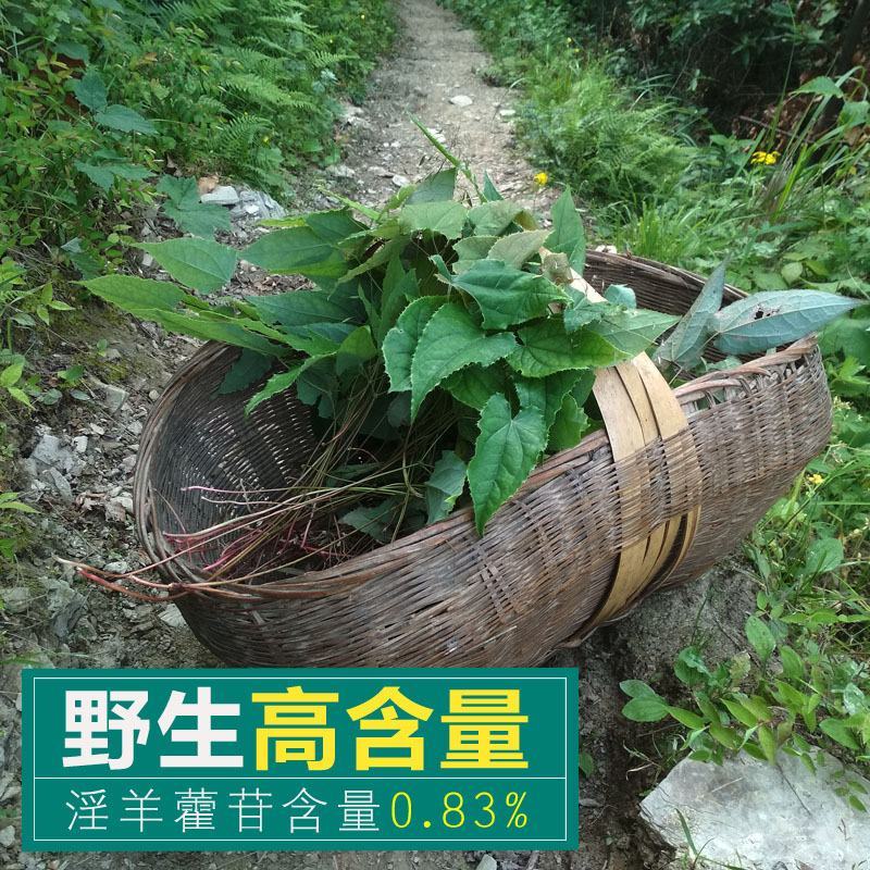 全叶野生淫羊藿中草药批发各种中草药干货新鲜