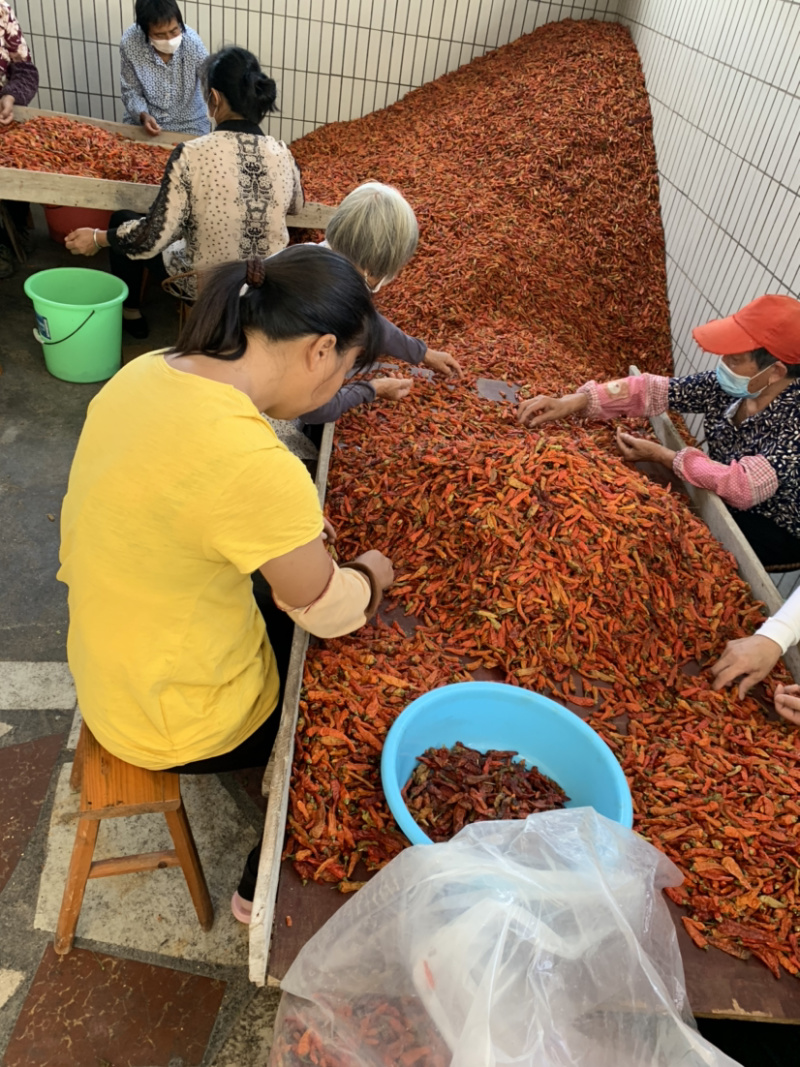 汝城辣王无硫原椒，小龙虾专用特辣级别餐饮配送（人工挑选）