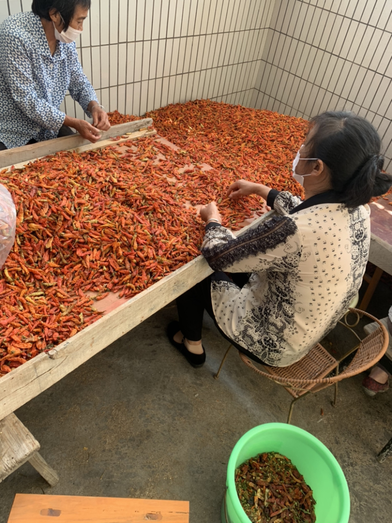 汝城辣王无硫原椒，小龙虾专用特辣级别餐饮配送（人工挑选）