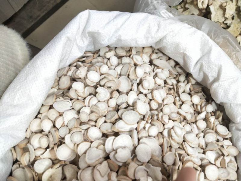 白芍大片圆片漂亮斜片白芍全国发货批发零售