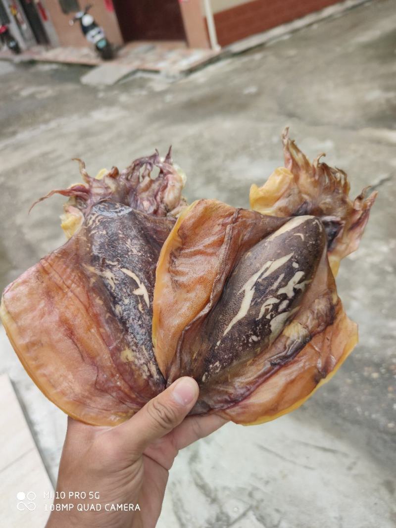 广西北海深海墨鱼干平板墨鱼干淡晒墨鱼干质量保证