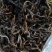 云南普洱茶古树茶单株。纯手工制作润滑口感香甜，耐泡。