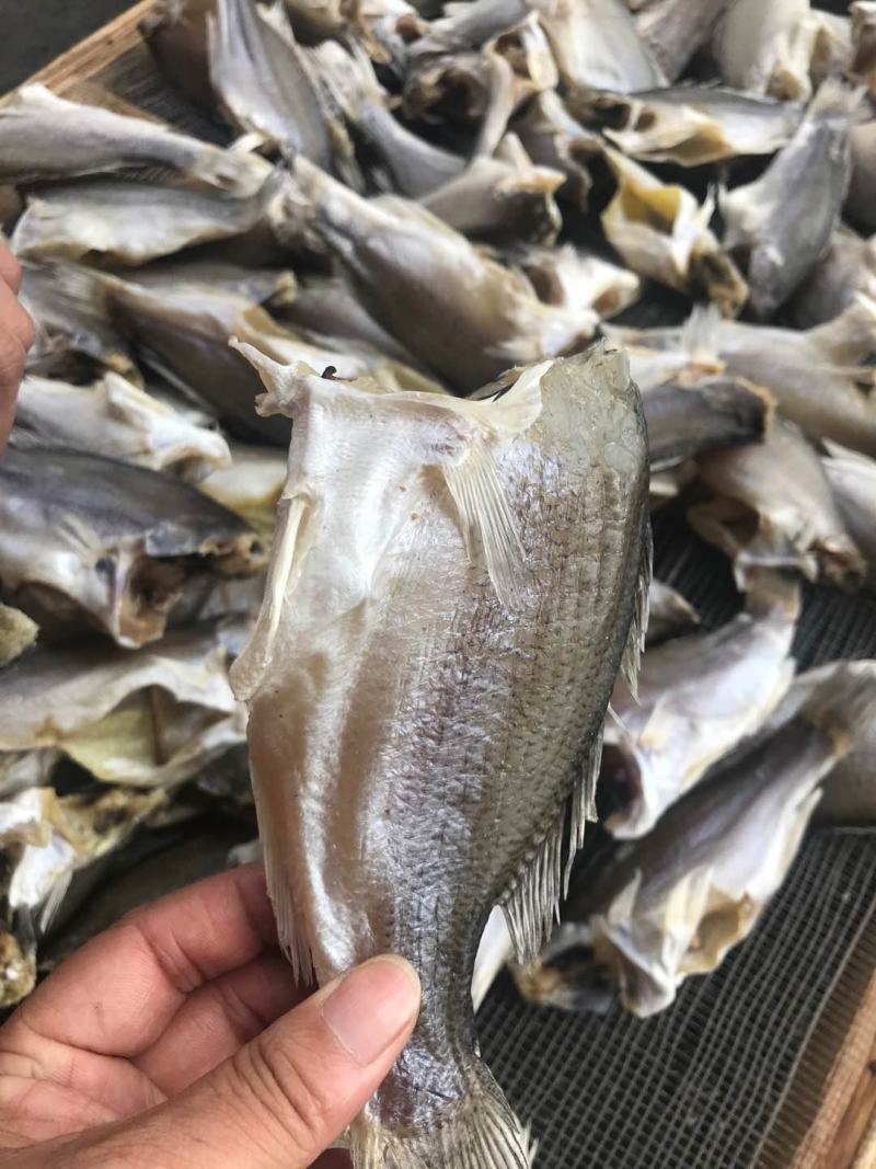鲈鱼干高品质价格美丽煎炒蒸炸都好吃的摆摊靓货