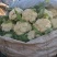 精品花菜陆续上市，需要的联系