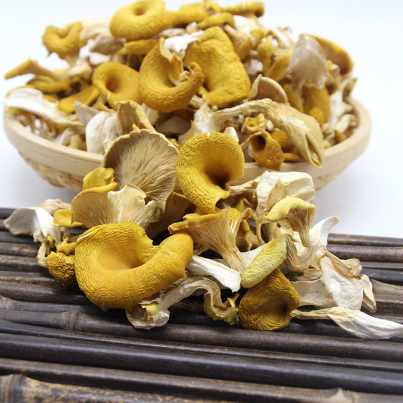 鸡油菌自家基地批发量大从优