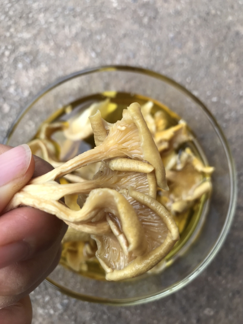 鸡油菌自家基地批发量大从优