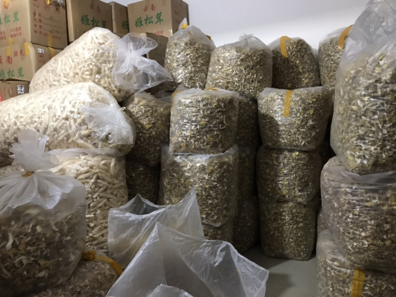 鸡油菌自家基地批发量大从优