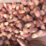 【厂家直销】龙虾尾好品质家庭装量大从优