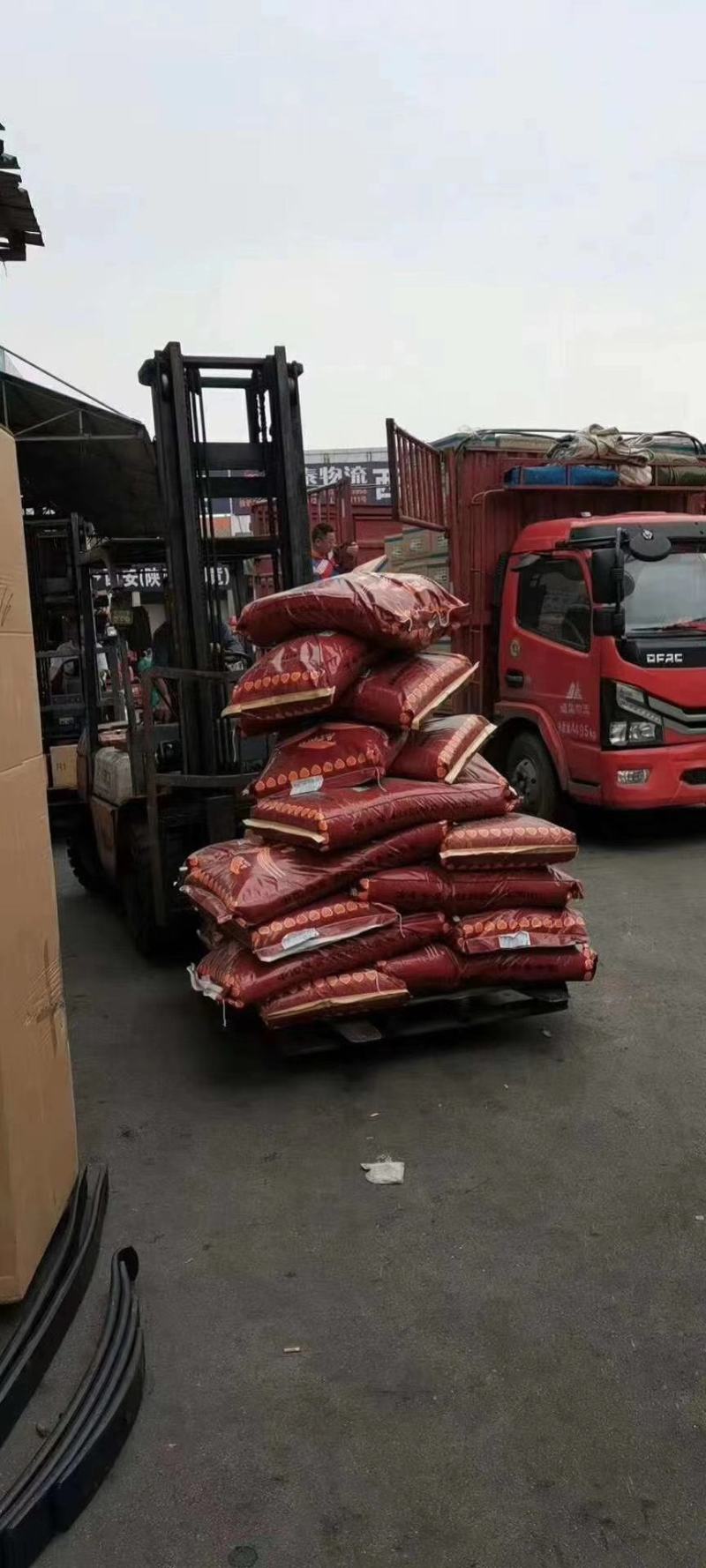 肉牛浓缩料全阶段适用，育肥牛犊牛母牛都可以使用方便又省力