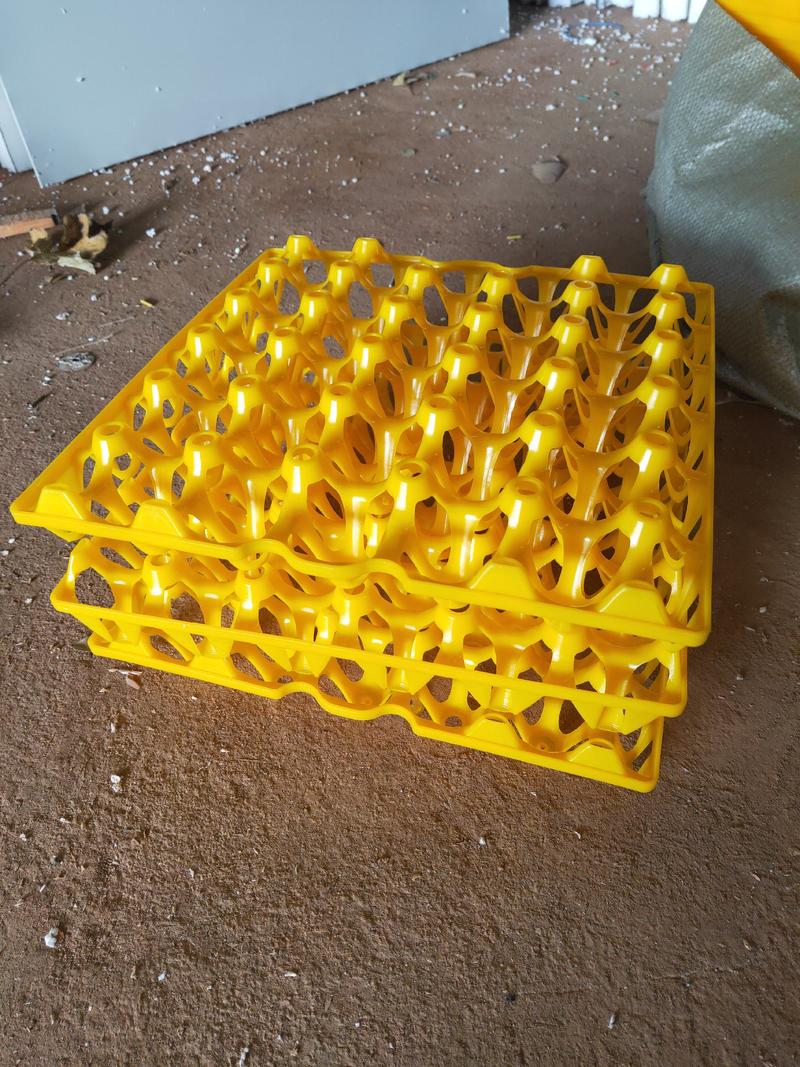 30枚鸡蛋塑料托盘鸡蛋托塑料长途运输防摔鸡蛋托