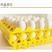 30枚鸡蛋塑料托盘鸡蛋托塑料长途运输防摔鸡蛋托