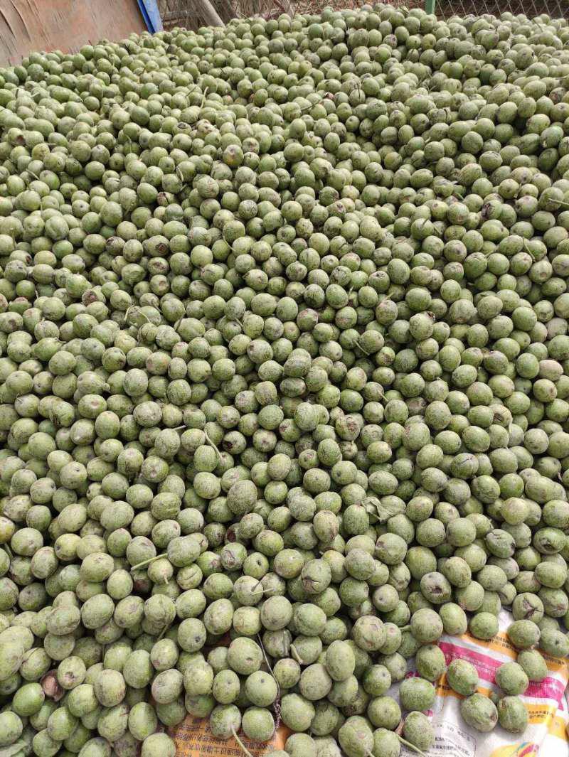 新疆纸皮核桃产地自销果肉饱满口感好好吃零食干果