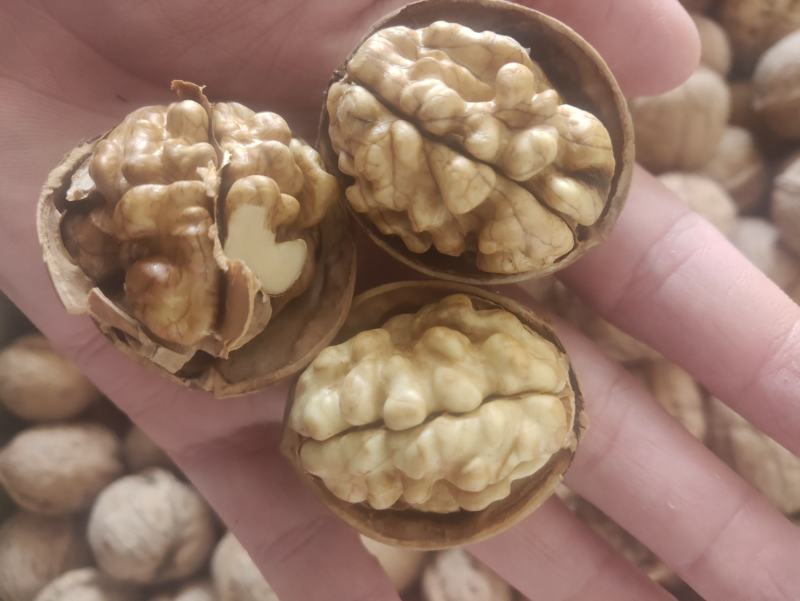 新疆纸皮核桃产地自销果肉饱满口感好好吃零食干果