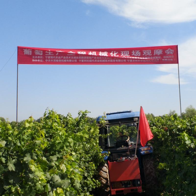 优质酿酒葡萄上市，有需要的朋友可以采购了