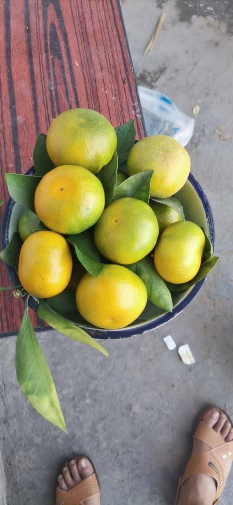 蜜桔，山坡蜜桔，皮薄肉多，规格齐全，色泽好，入口无渣