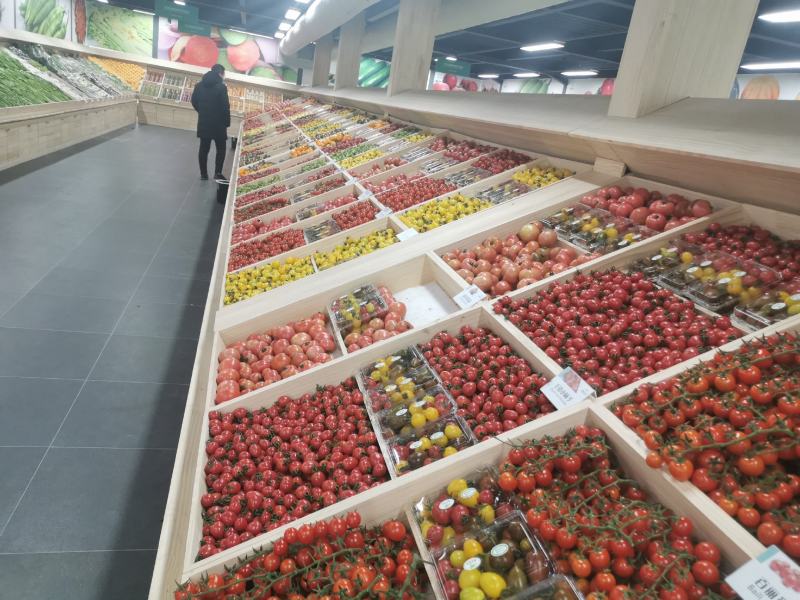 基地采摘专用西红柿苗（各种颜色，各种口味的各种果型）