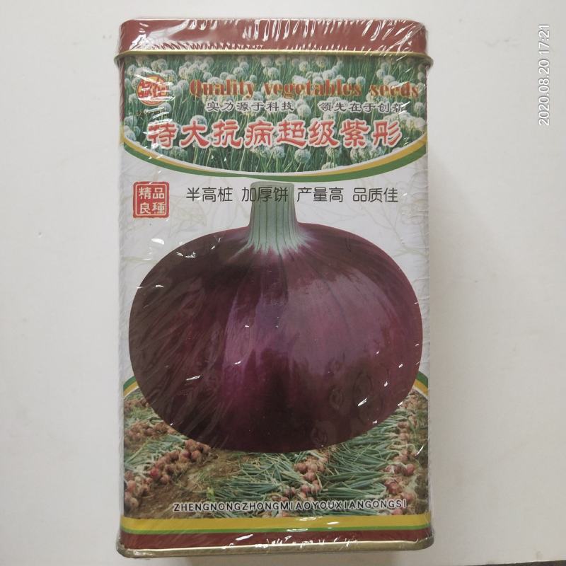 洋葱种子圆底平底红满地红皮洋葱种子都是当年新种子