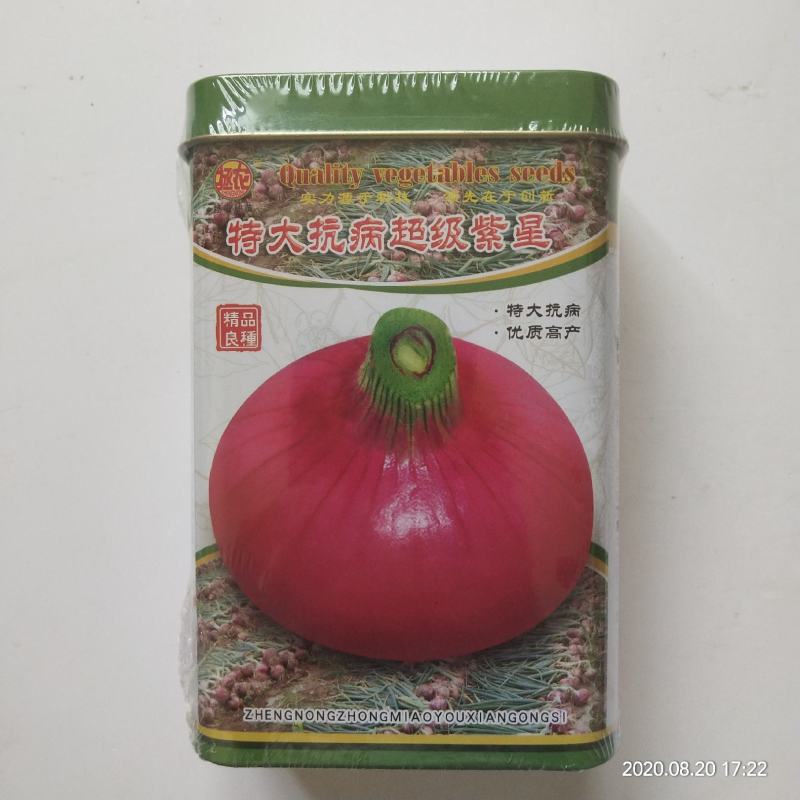 洋葱种子圆底平底红满地红皮洋葱种子都是当年新种子
