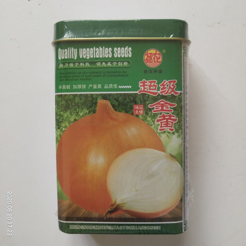 洋葱种子圆底平底红满地红皮洋葱种子都是当年新种子