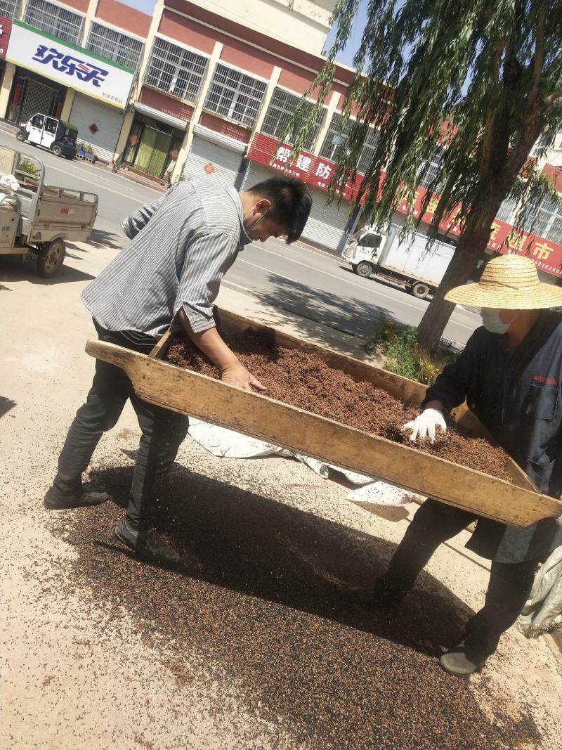 （特级精品）大红袍花椒一手货源、产地直销、量大优惠