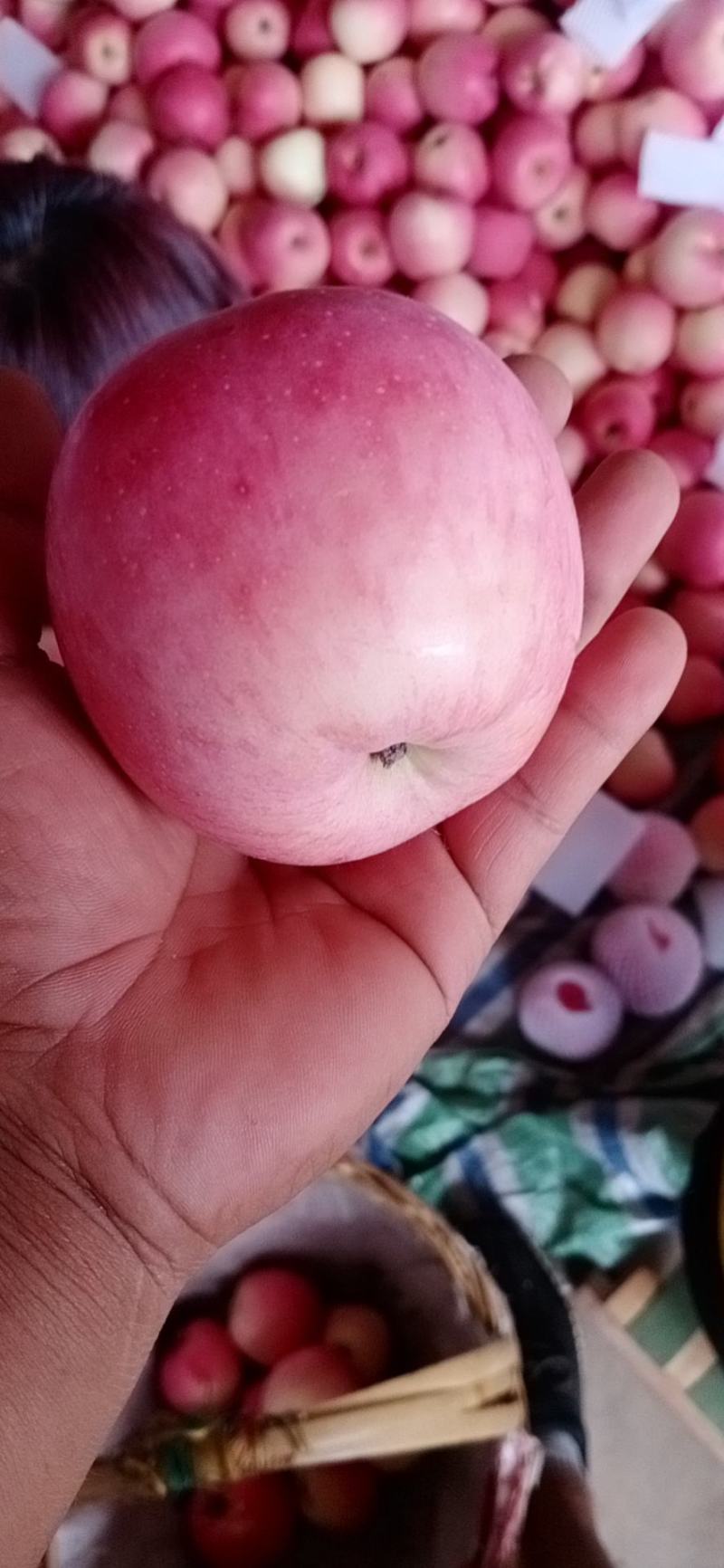 套袋红苹果，颜色好，口感脆，颜色鲜嫩，个头大，可以颗颗精