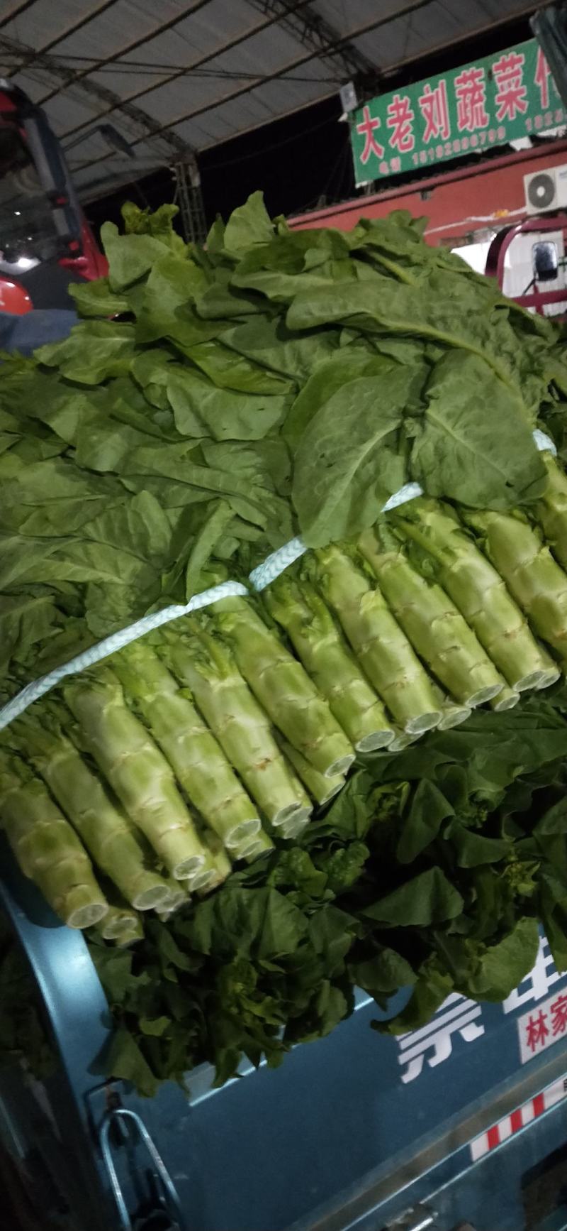 兰陵县三青皮圆叶莴笋莴苣，大量上市中，货源充足稳定