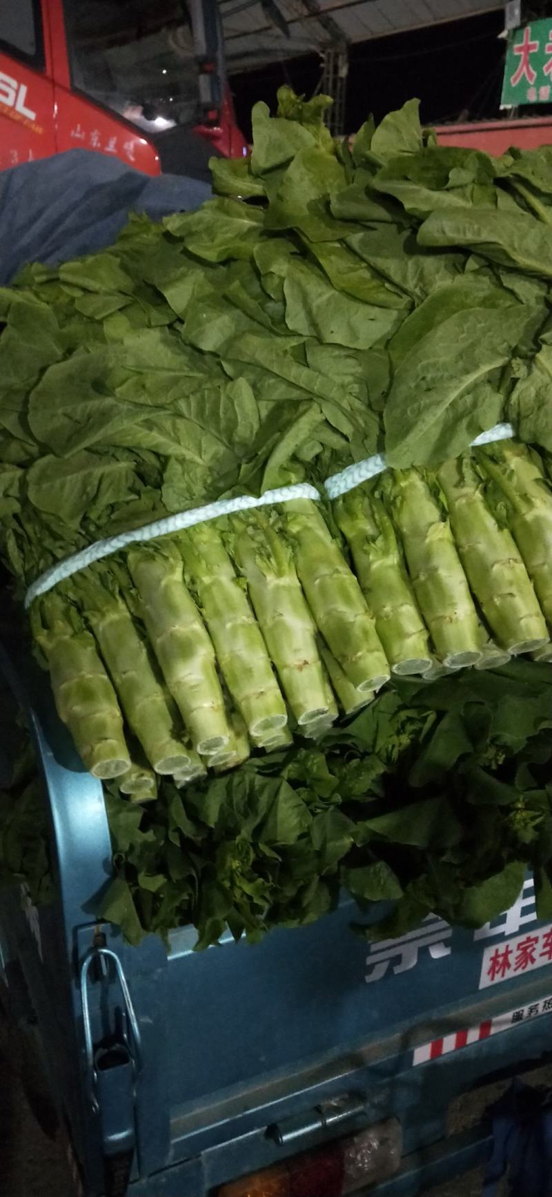 兰陵县三青皮圆叶莴笋莴苣，大量上市中，货源充足稳定