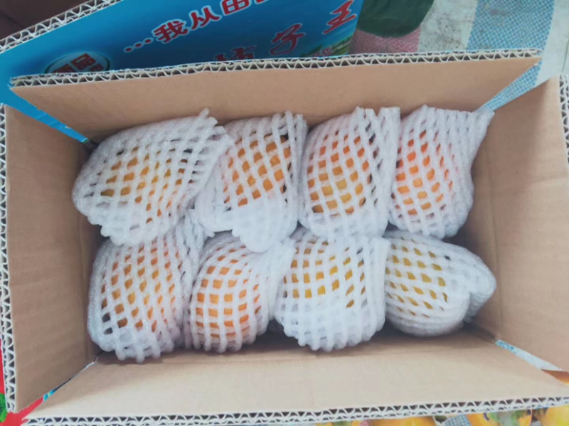 脆柿子一件代发，顺丰包邮，