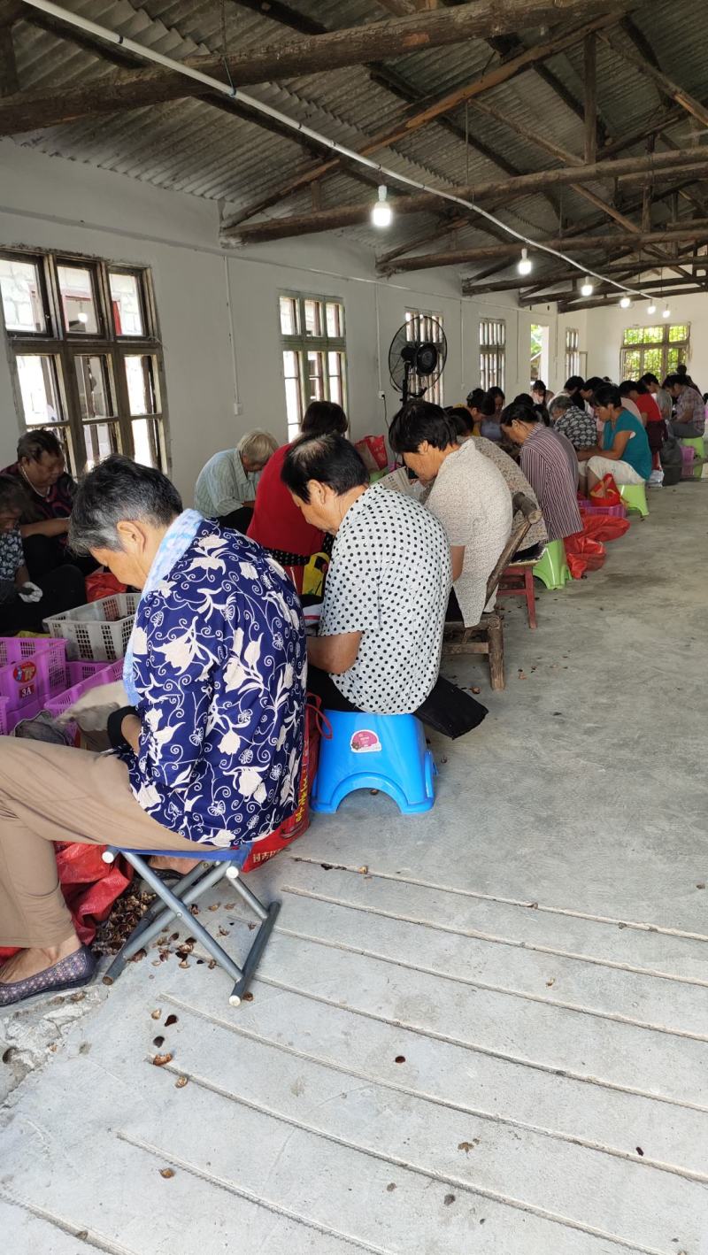 去壳带内皮油栗仁厂家批发