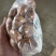 去壳带内皮油栗仁厂家批发