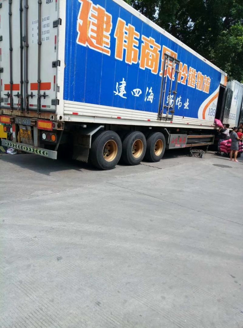 全年供应东北丹东特大板栗