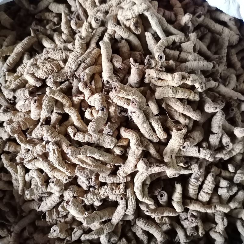 巴戟天，巴戟肉，各种等级，各种中药材,药材批发