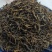 普洱茶熟茶宫廷散料一斤装仅售:118元/斤送茶罐一个