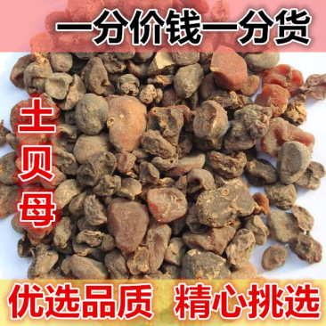 土贝母一手货源本店所有商品都是正品中药，保质保量