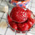 冰点草莓冰冻草莓水果无添加无色素产地直发3盒起发