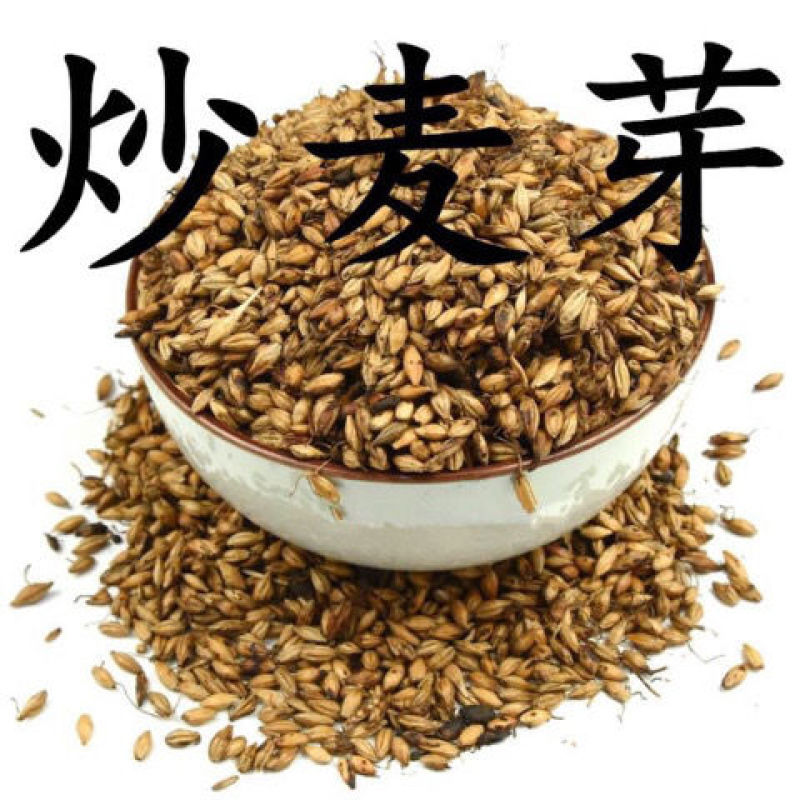 麦芽炒麦芽大麦芽可打粉各种规格专营中药批发