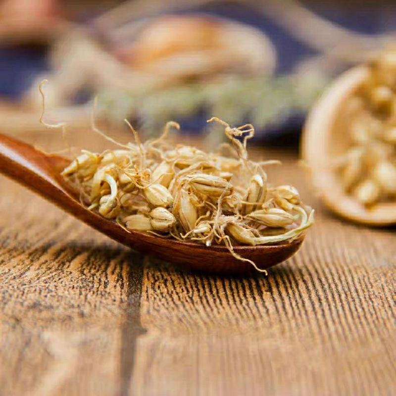 麦芽炒麦芽大麦芽可打粉各种规格专营中药批发