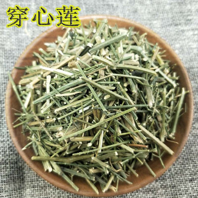 穿心莲无杂质净货穿心莲新货出售各类草药量大从优