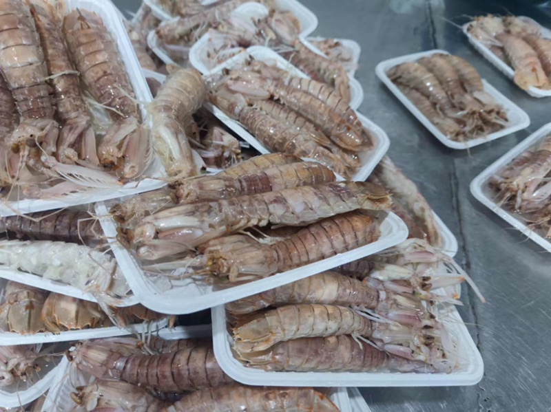 熟冻皮皮虾、虾爬子、肉质饱满、口感上乘、适合餐饮行业。